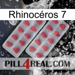 Rhinocéros 7 19